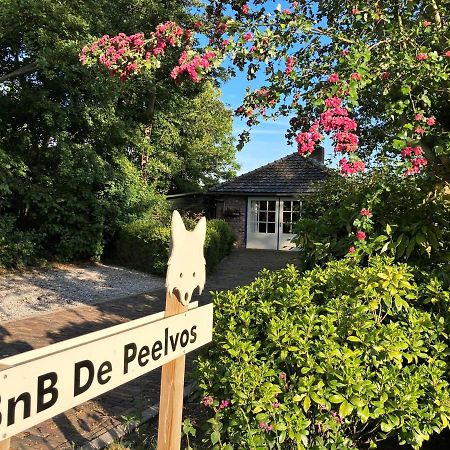 Bnb De Peelvos Deurne Exterior photo